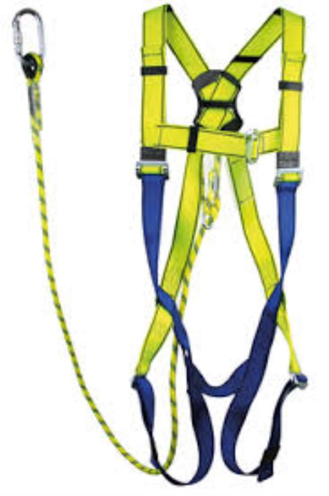 Rental store for SAFETY HARNESS in Dallas TX